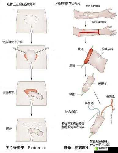 女同性恋者的私密性行为：探索舔阴蒂的快感与技巧