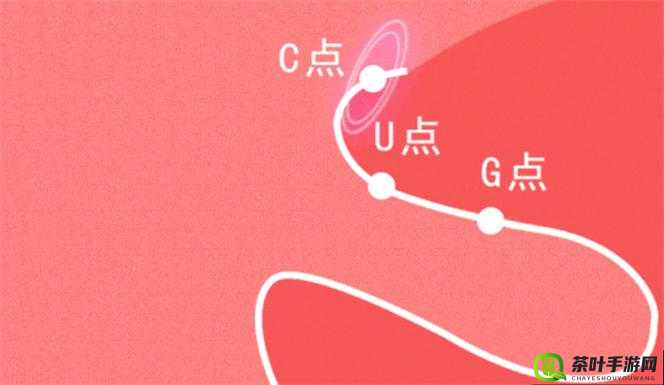 学生自 w 到高 c 的 16 种方法图片：让你探索自我的私密指南