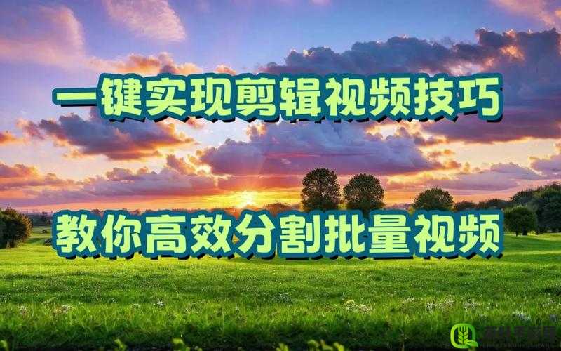 如何高效完整做视频以及提升视频质量的方法和技巧