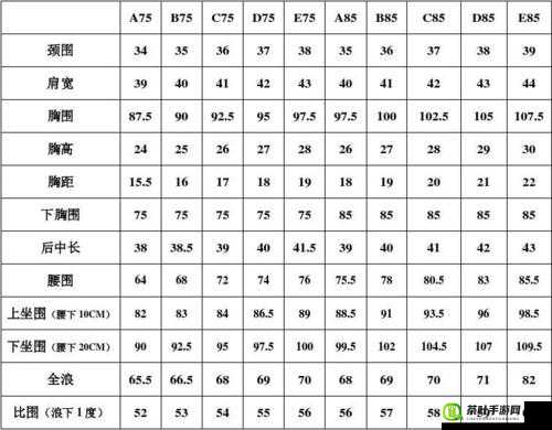 透彻理解欧洲码欧洲尺码 M 高清的全方位解读