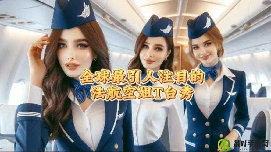 法国空乘 2024 满天星法版完整版：一场独特的航空之旅