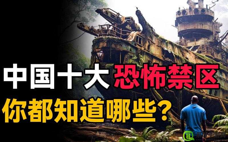 无人区码一码二码三码区：探险者的禁地，还是未知的宝藏？