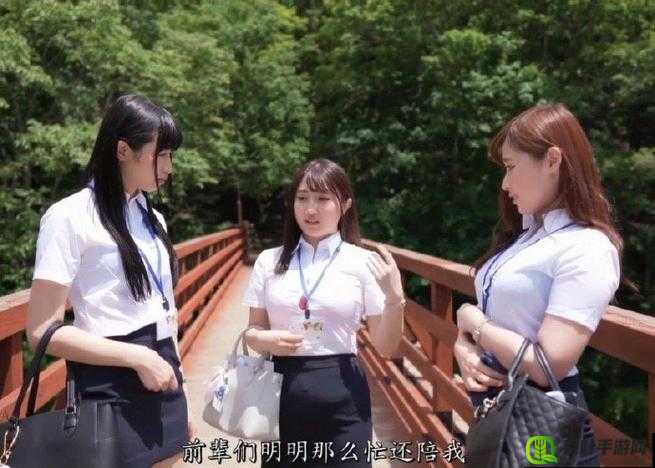 女保险公司推销员的别样人生：探寻保险行业的奥秘